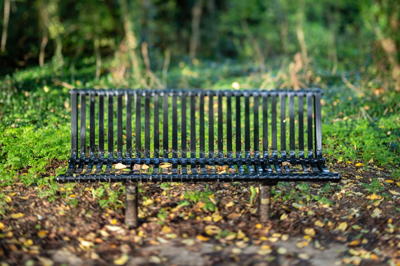 Photo of a bench taken with a Nikon Z f and Nikkor PC-E 45mm f/2.8