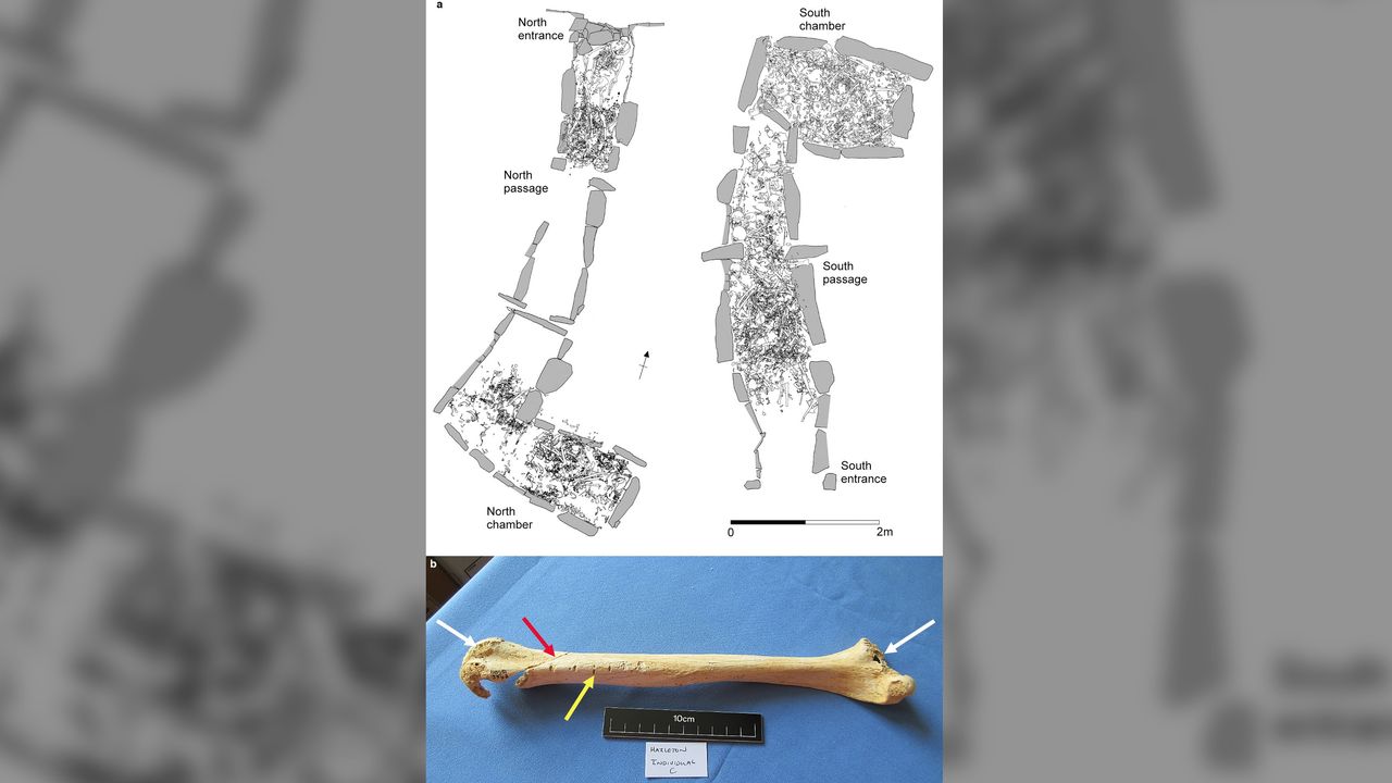 The barrow had been badly damaged by farmers plowing the land for crops, and the tomb chambers were excavated in the 1980s to preserve what was left. The bones of 35 people were found.