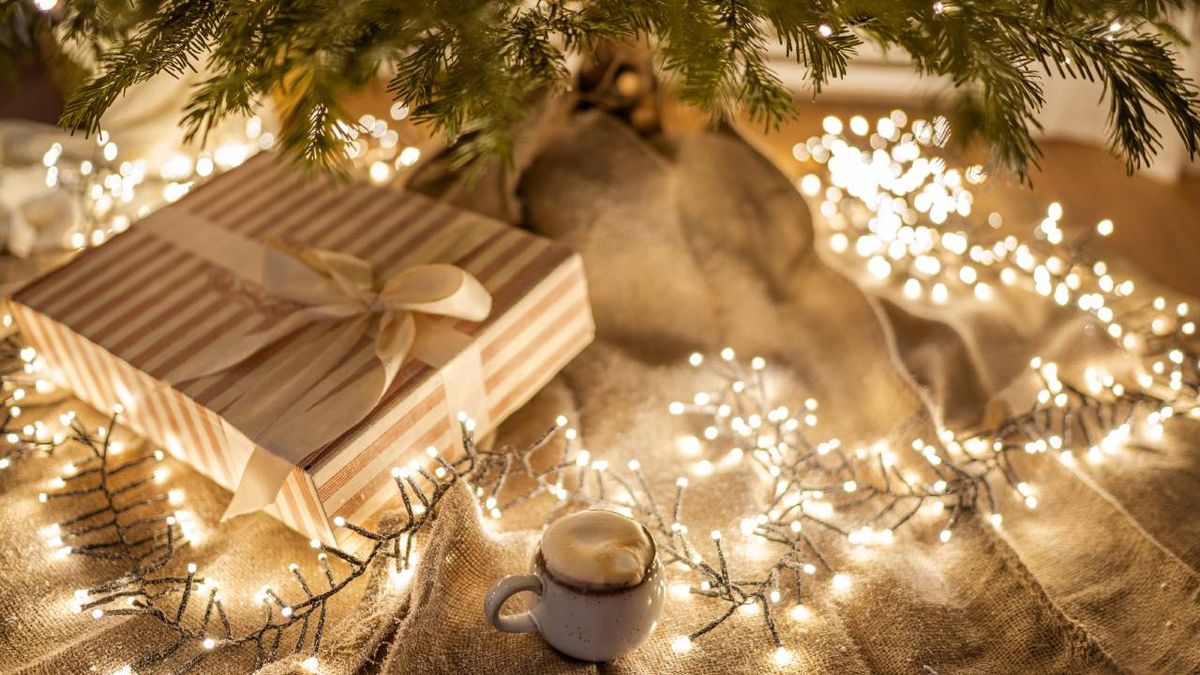 Christmas Lights Tips to Save You Money on Your Energy Bill