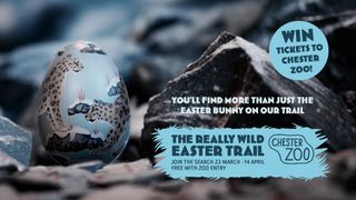 Chester Zoo Easter competition