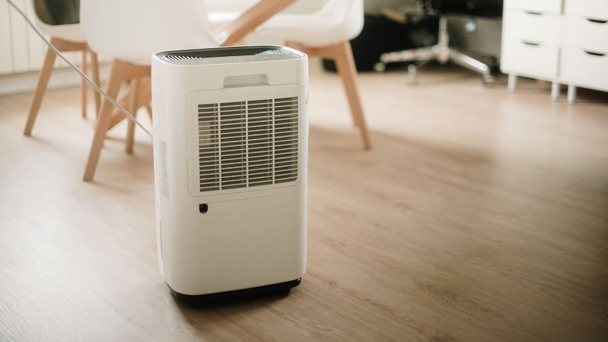 Disadvantages of a dehumidifier: Everything you need to know