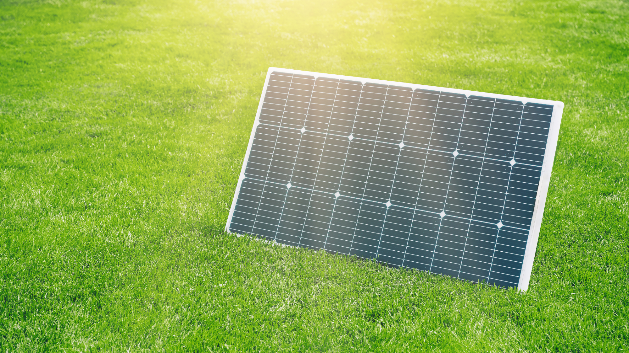From lower bills to a reduced carbon footprint, there's lots to like about my plug-in solar panels &ndash; but I wish I'd known these five things first