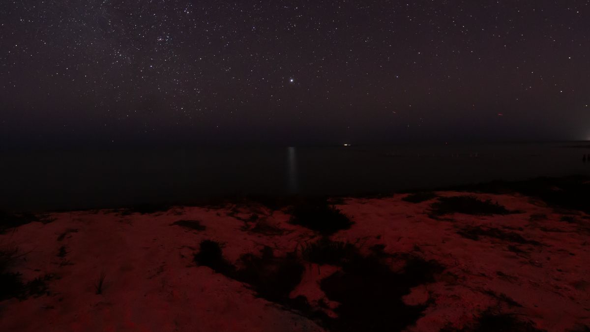 a bright star is reflected in the water below.