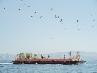 Studio Ossidiana's floating garden