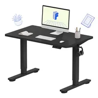 FlexiSpot EN1 standing desk (40-inch)