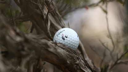 What Is The Golf Rule If My Ball Gets Stuck Up A Tree?