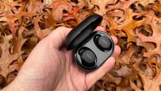 Bose QuietComfort Earbuds wireless earbuds in case held in hand with autumn leaves in background