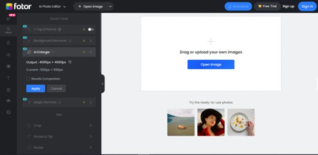 Website screenshot for Fotor