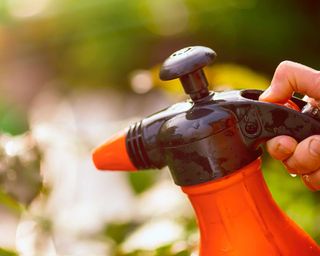 spray bottle in garden