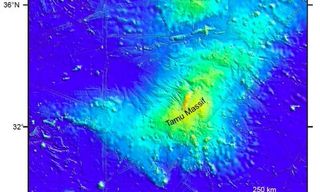 Tamu Massif, located east of Japan, was thought to be the largest volcano on the planet.