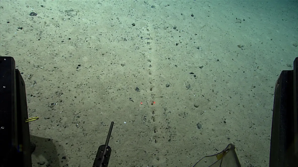 Strange 'alien' holes discovered on the ocean floor 9CtBCDDomg5NspSo5Ra7yN-1200-80.jpeg