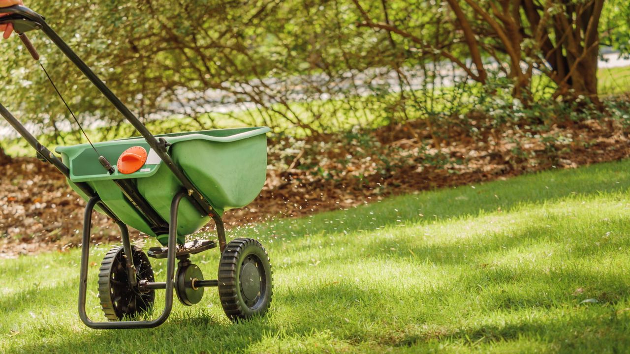 Fertilizing a backyard lawn with a spreader