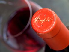 Penfolds
