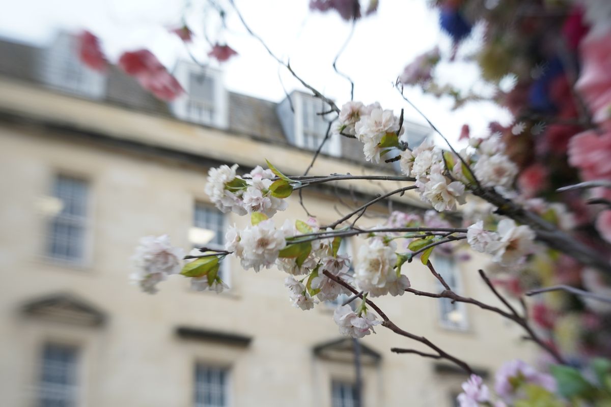 Lensbaby Double Glass II Optic Review