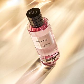 Expensive perfumes: Gris Dior, Christian Dior