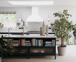 A kitchen island with open shelves filled with books and above it is a sink with sculptural vases. Next to the island is a large houseplant.