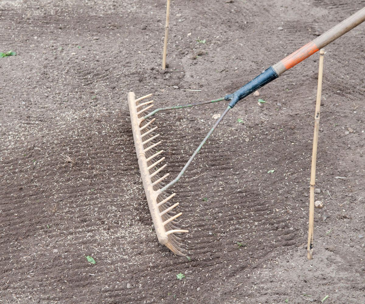 Seed Rake Ranch How to overseed a lawn to boost the health of your grass | Homebuilding