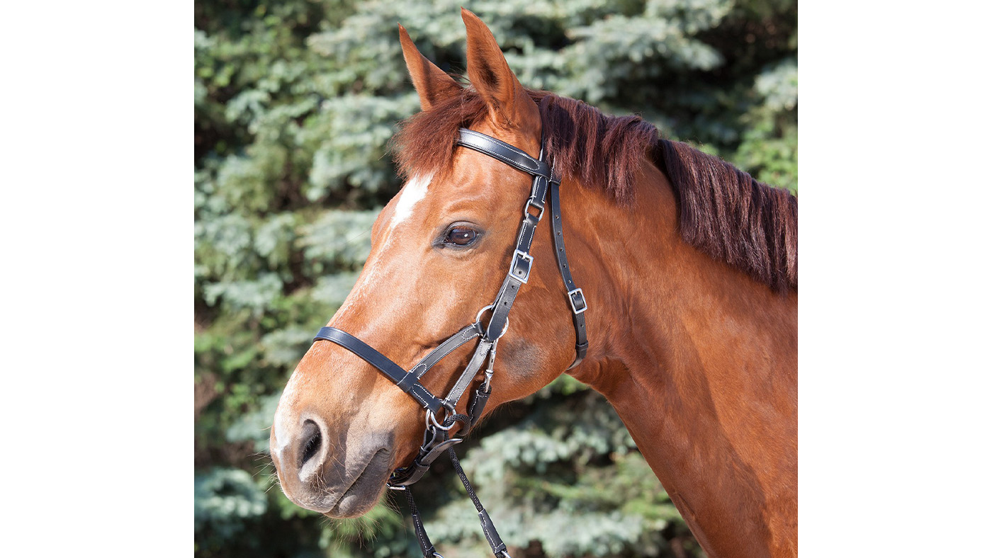 Waldhausen Two Star Bitless Bridle