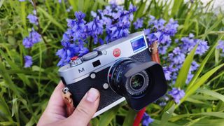 Leica 35mm Summarit-M f/2.5 on a silver Leica M typ240