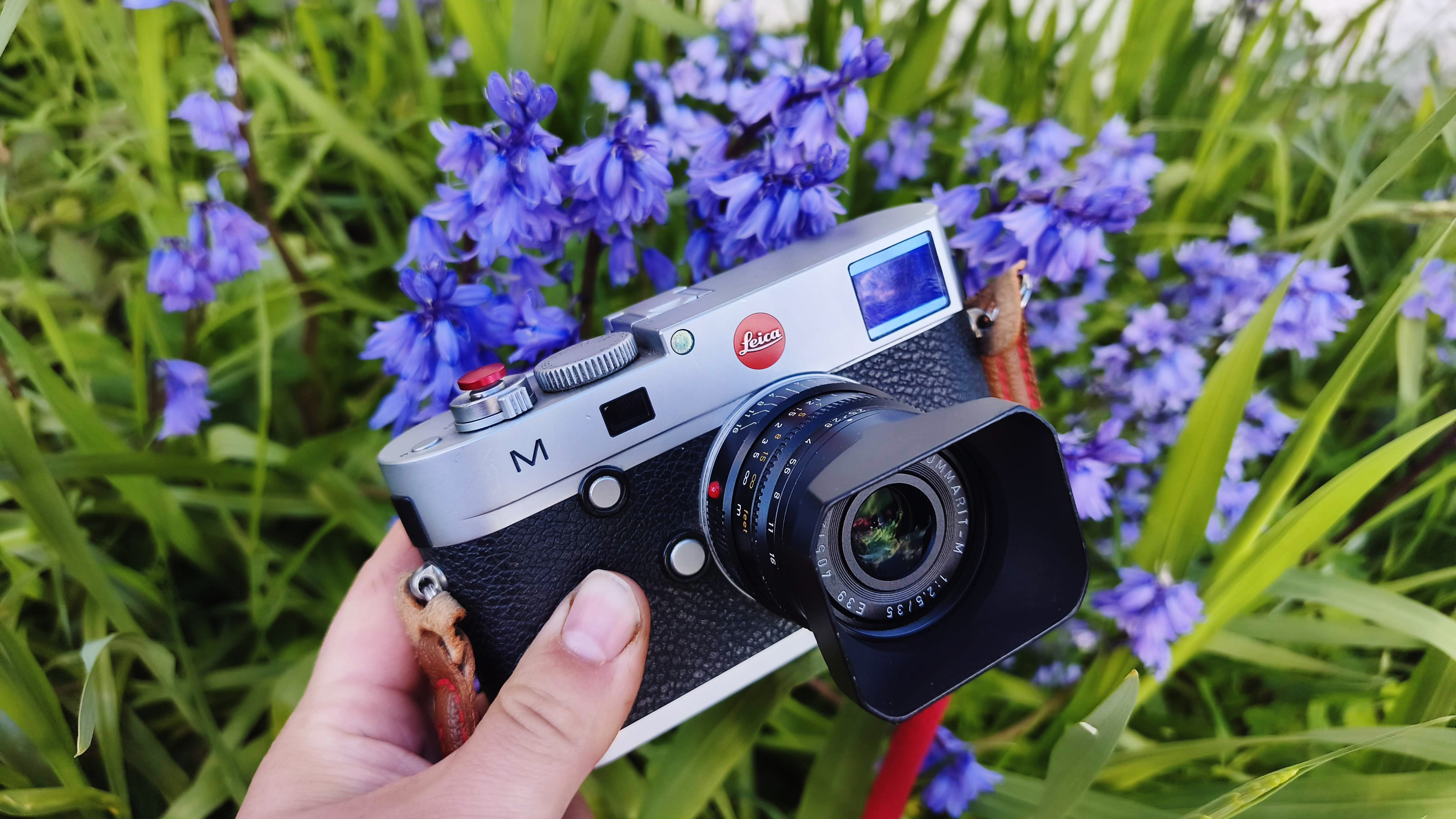 Leica 35mm Summarit-M f/2.5 on a silver Leica M typ240