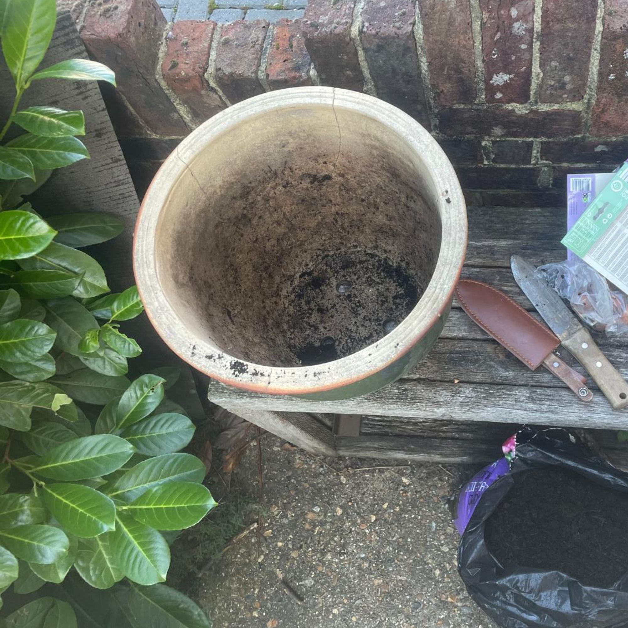 Bulb lasagne in a pot: step by step