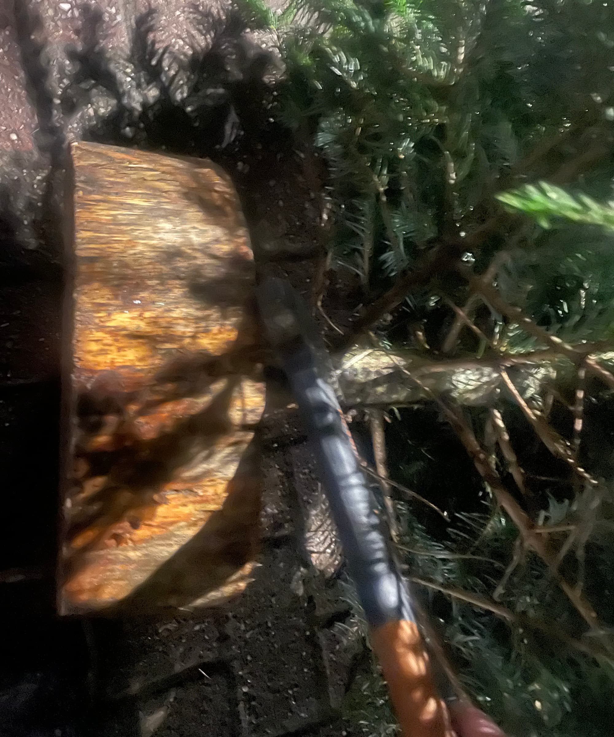 An axe cutting Christmas tree branches