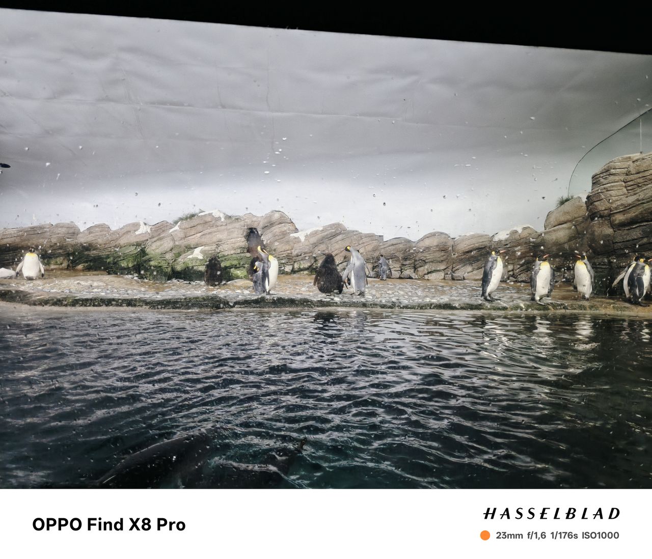 Oppo Find X8 Pro