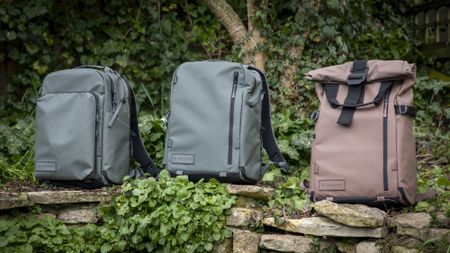 light green camera backpacks against wooden greenery background