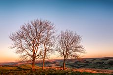 Winter light on Rosedale, as seen from Chimney Bank.