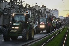 farmer protests, bordeaux