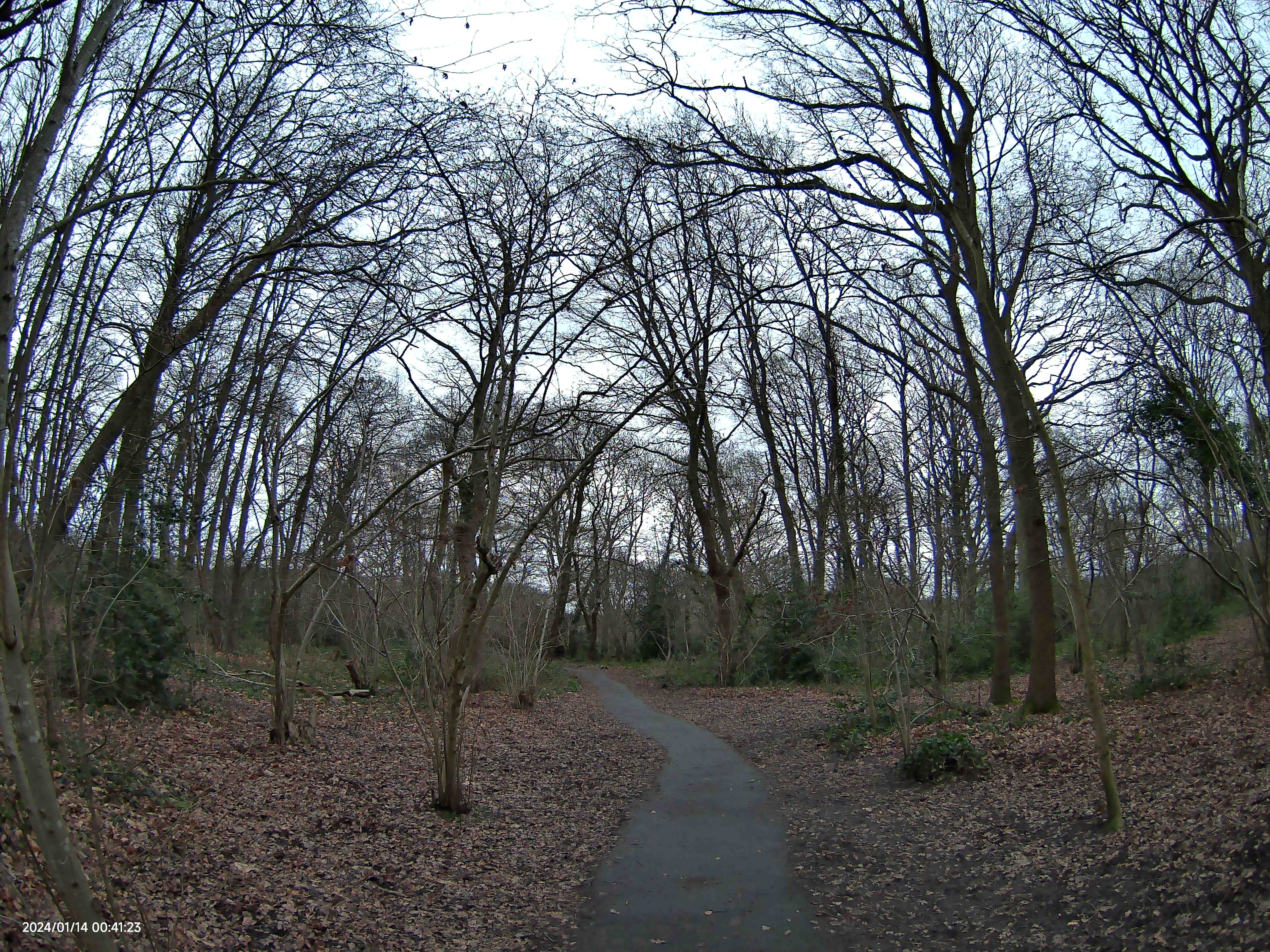 SJCAM C400 sample photo