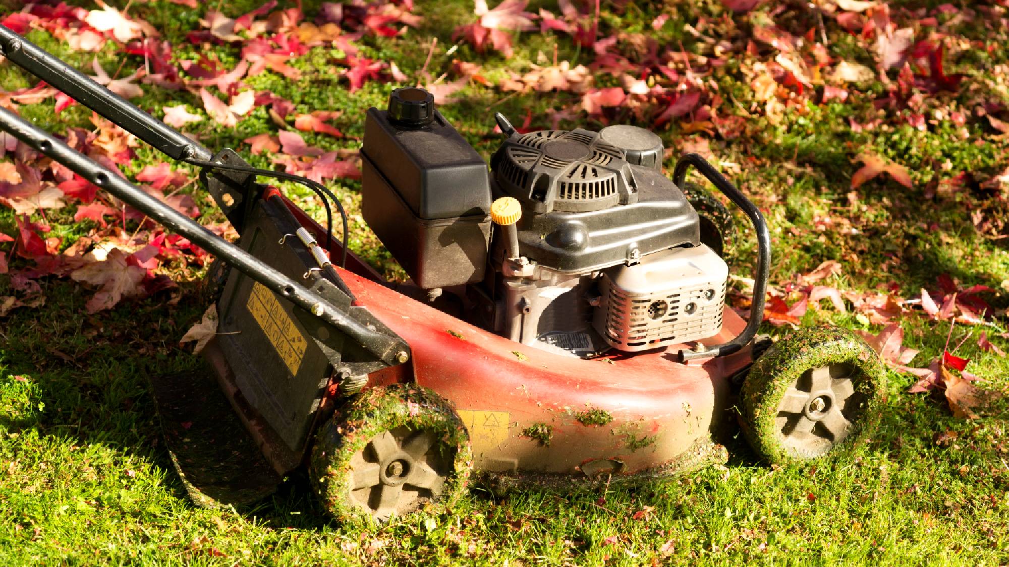 Before you put your mower away for the season, follow this essential fuel-draining rule
