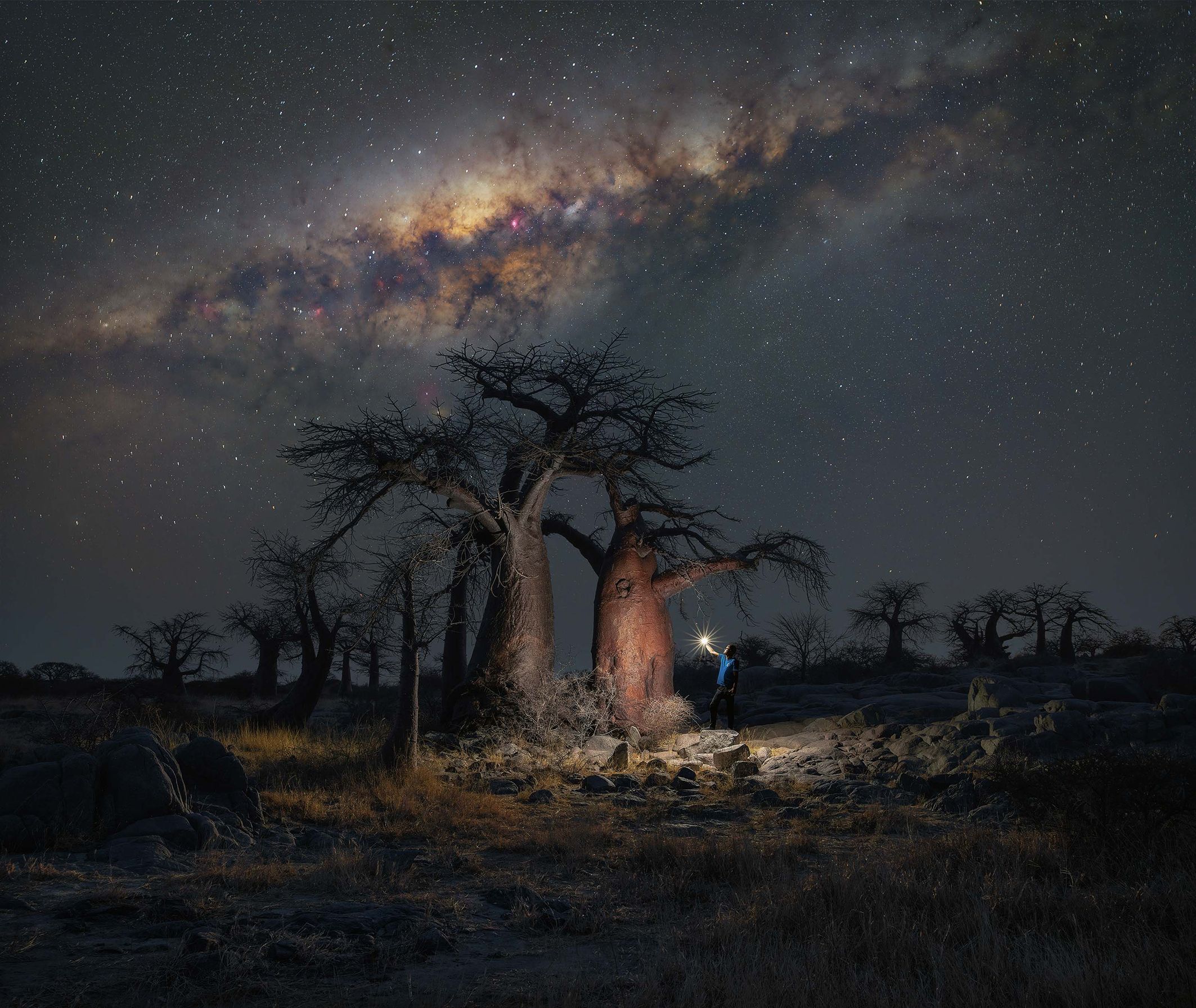 Astrophotographer Captures Botswana's Baobabs Under the Milky Way