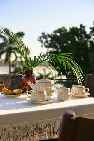 Porcelain cup and saucer