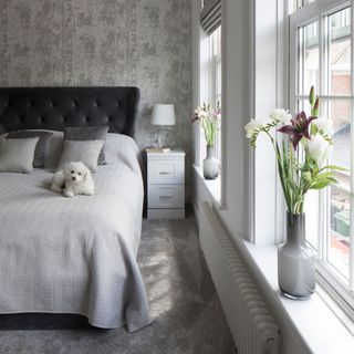 Grey bedroom with grey carpet, bedding, and walls with a dog sitting on the bed