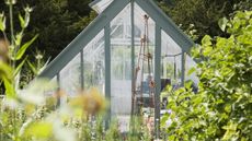 A greenhouse surrounded by plants and foliage