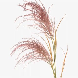 artificial pampas reed