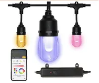 Hampton Bay 24ft. Indoor/Outdoor String Lights powered by Hubspace Hampton Bay 24ft. Indoor/Outdoor String Lights powered by Hubspace