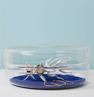 Clear round box with jewellery stand