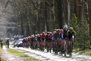 The Women's WorldTour peloton