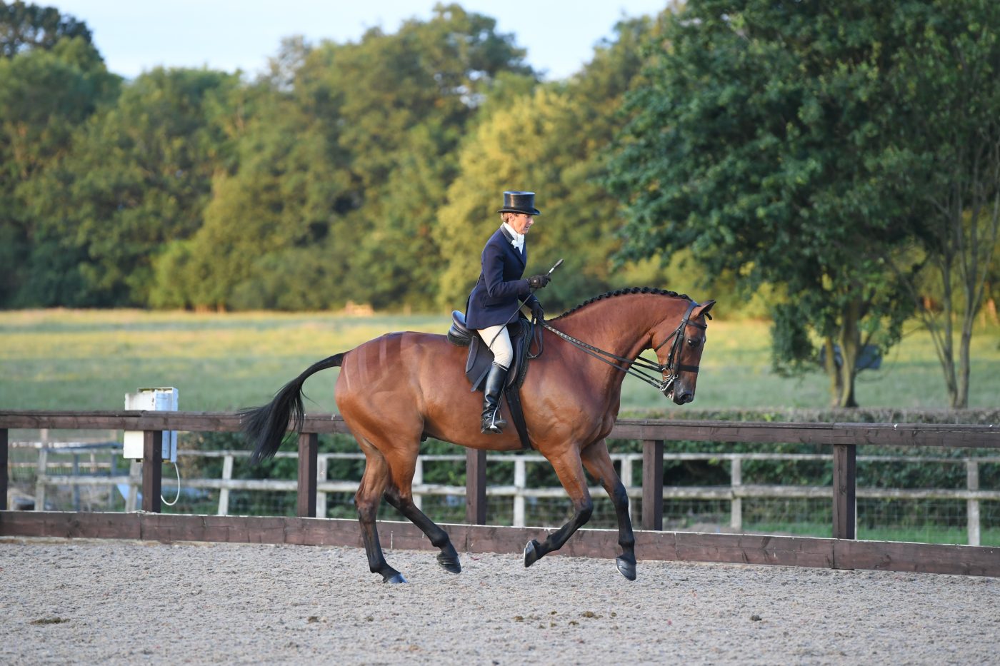 HorseNo60_HunterShow_PN19_36405-e1562586080546.jpg