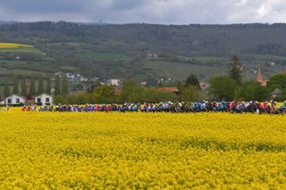 SAINT-IMIER, SWITZERLAND - APRIL 29: The Peloton at start in La Neuveville Village during the 74th Tour De Romandie 2021, Stage 2 a 165,7km stage from La Neuveville to Saint-Imier / Flowers / Landscape / #TDR2021 / #TDRnonstop / #UCIworldtour / on April 29, 2021 in Saint-Imier, Switzerland. (Photo by Luc Claessen/Getty Images)