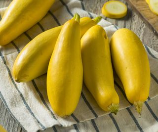 Four yellow squash on a striped cloth napkin