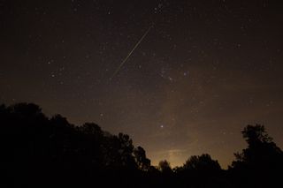 Orionid meteor