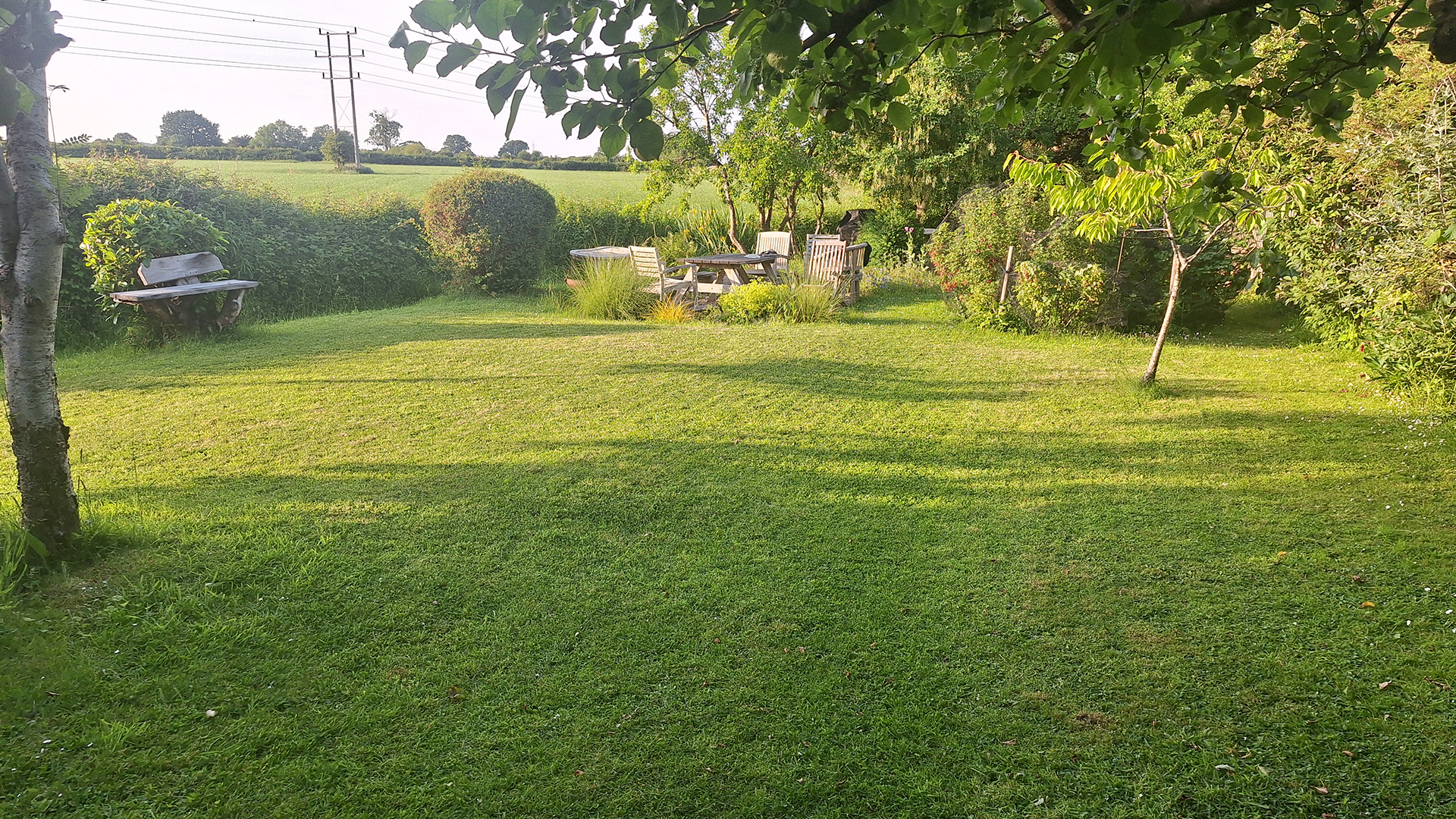 Results of Mammotion Yuka Mini robot lawn mower's mowing