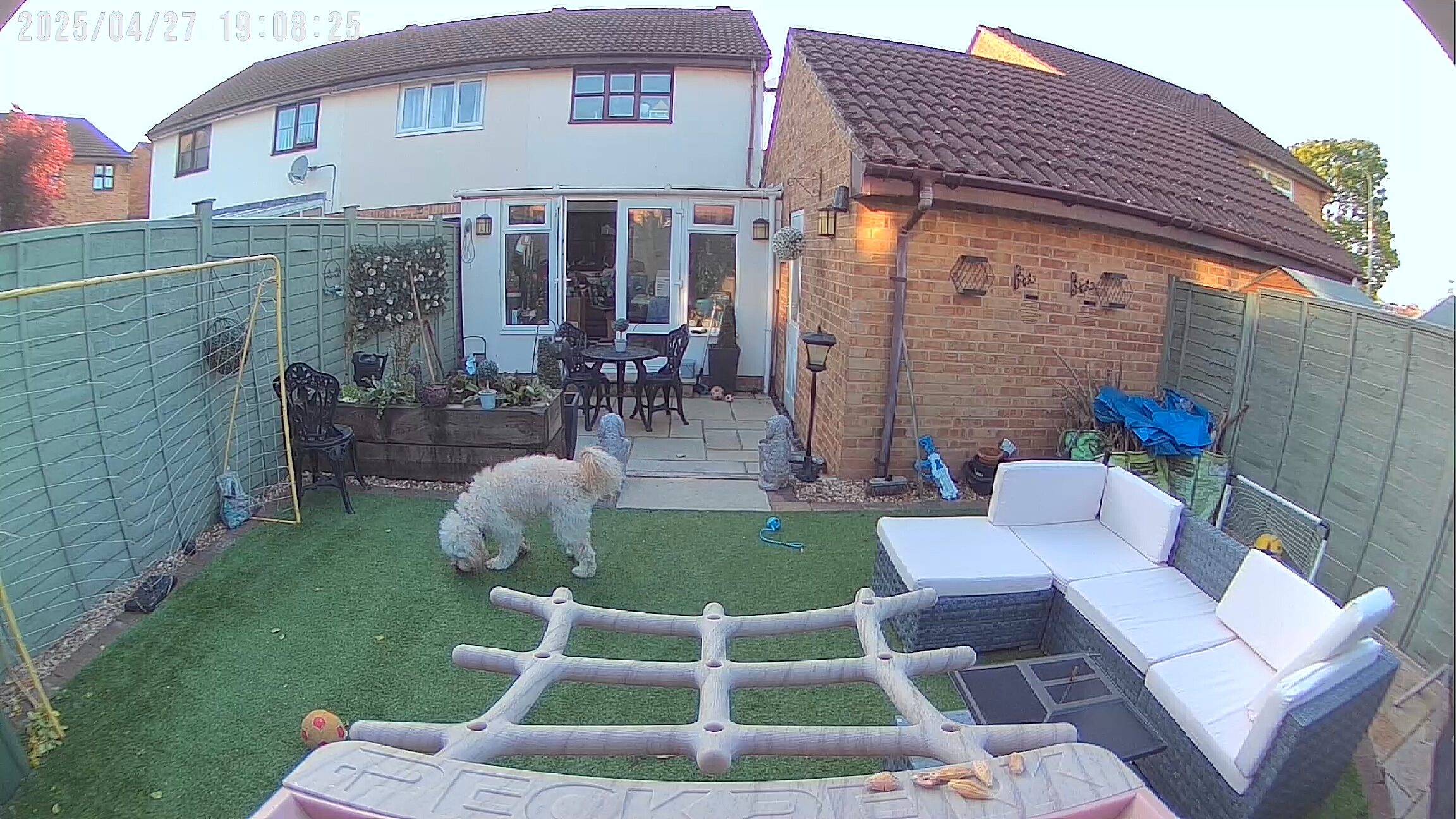 PeckPerk bird camera review