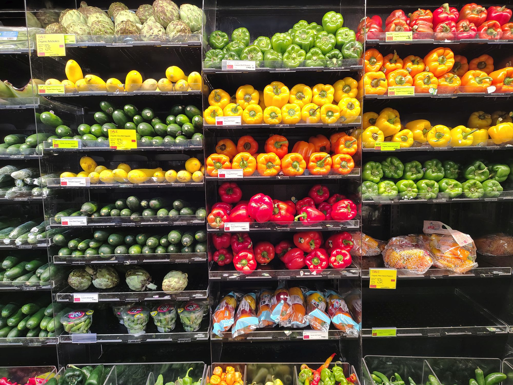 نمونه دوربین Moto G Stylus (2026).