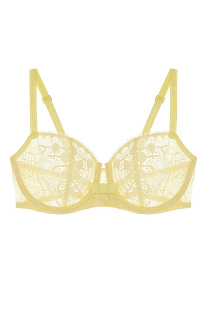 Journelle Day to Night Lace Unlined Demi