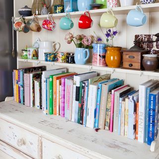 books shelf with potted plants and cups