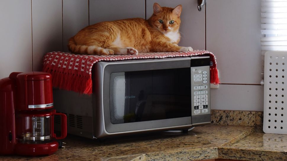 Prime Day microwave deals unmissable deals Top Ten Reviews